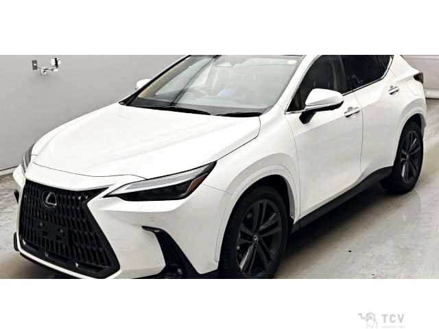 2023 Lexus NX