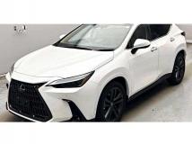 2023 Lexus NX