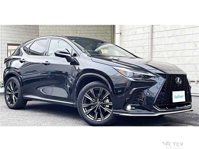 2023 Lexus NX