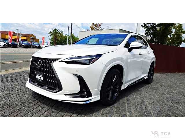 2023 Lexus NX