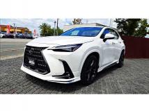 2023 Lexus NX