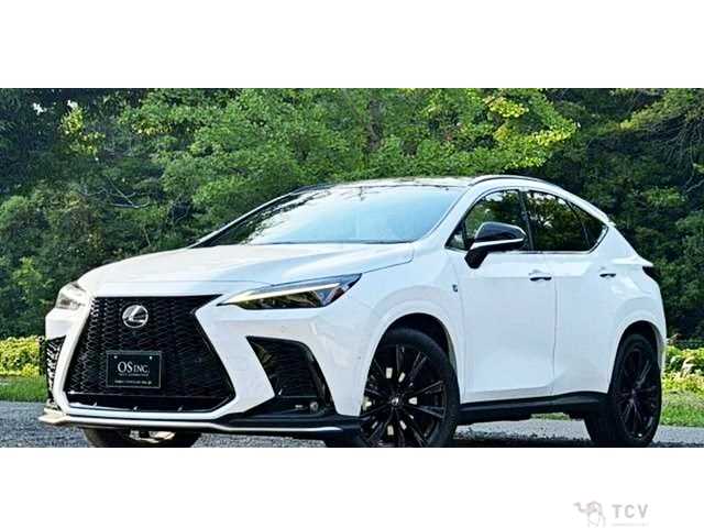 2023 Lexus NX