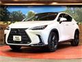 2023 Lexus NX