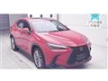 2023 Lexus NX