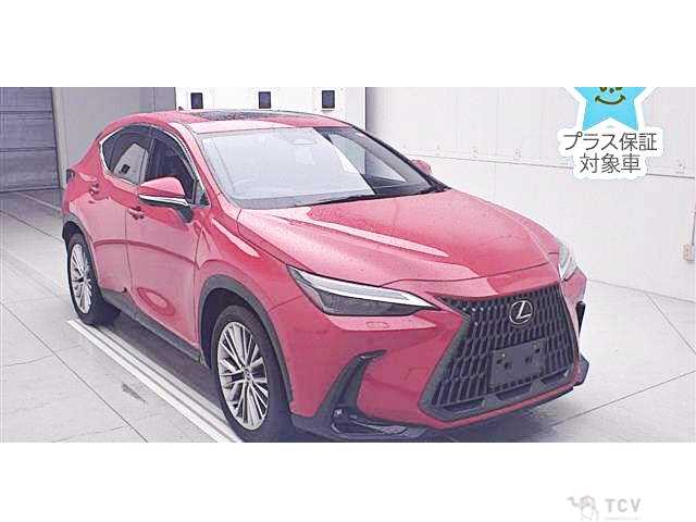 2023 Lexus NX