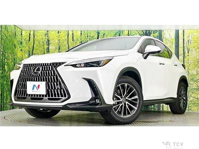 2023 Lexus NX