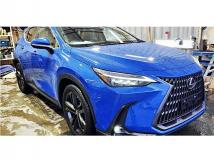 2023 Lexus NX