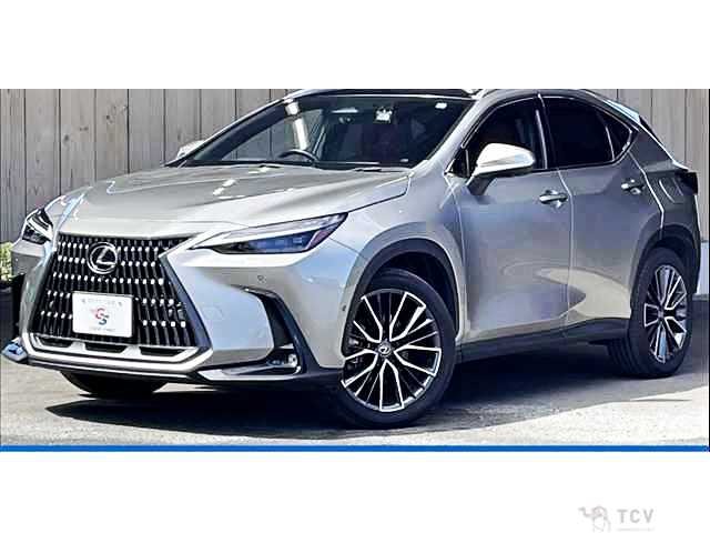 2023 Lexus NX