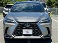 2023 Lexus NX