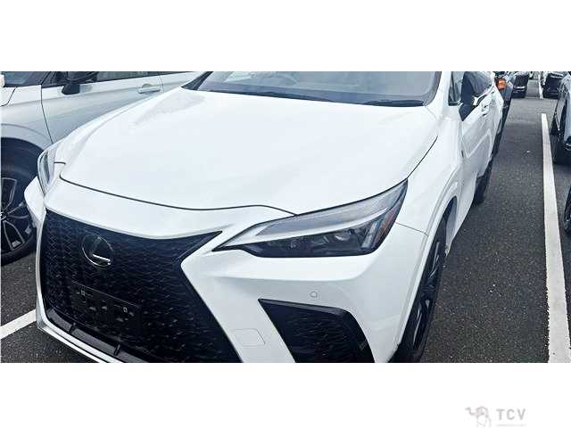 2023 Lexus NX