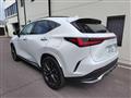 2023 Lexus NX