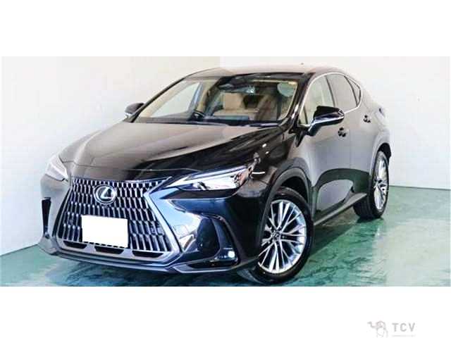 2023 Lexus NX