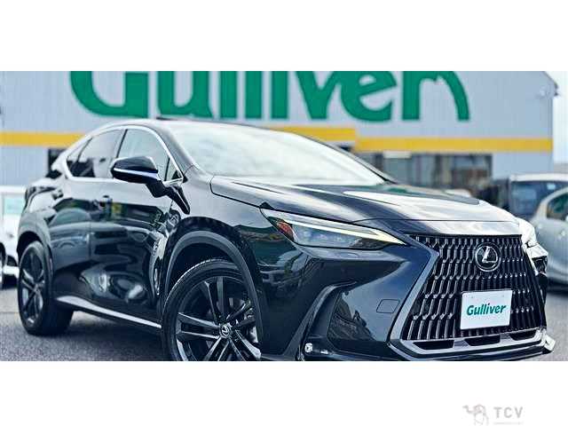 2023 Lexus NX