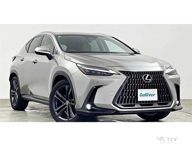 2023 Lexus NX
