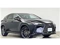 2023 Lexus NX