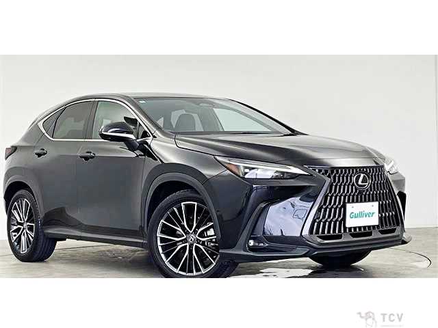 2023 Lexus NX