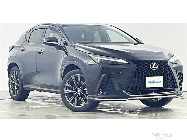 2023 Lexus NX