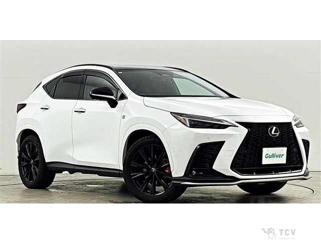 2023 Lexus NX