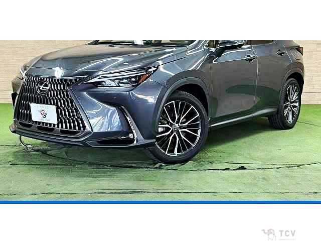 2023 Lexus NX