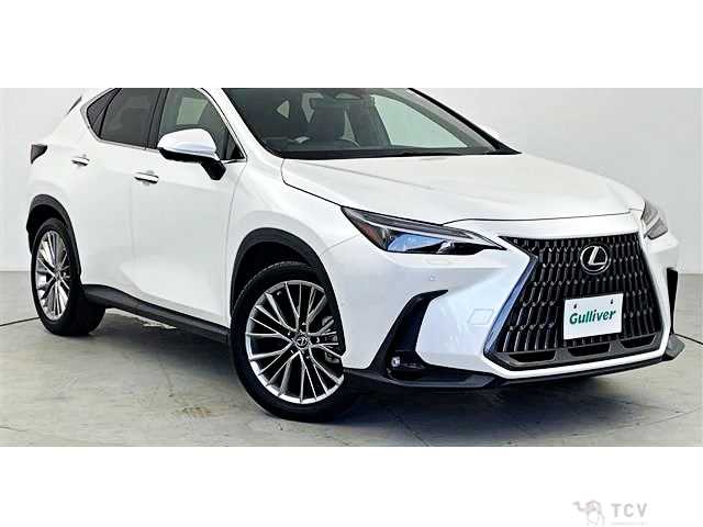 2023 Lexus NX