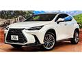 2023 Lexus NX