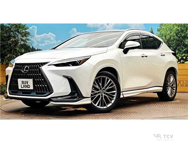 2023 Lexus NX