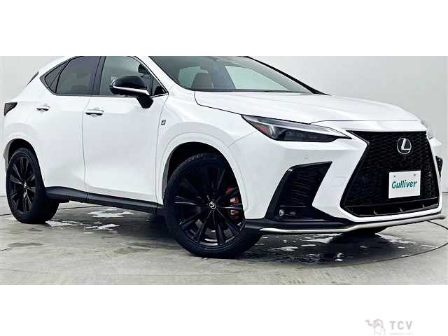 2023 Lexus NX
