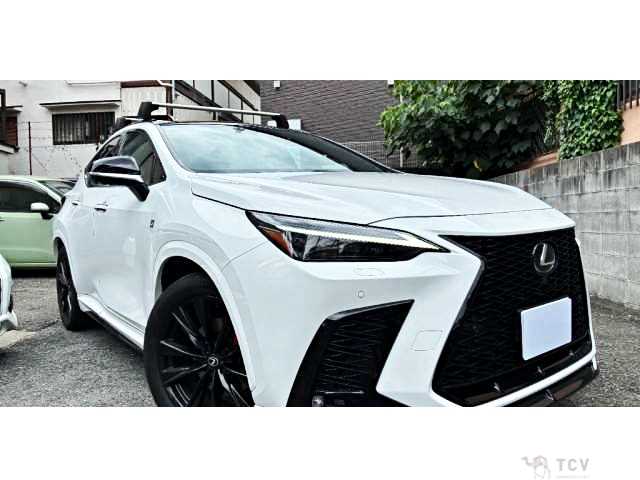 2023 Lexus NX