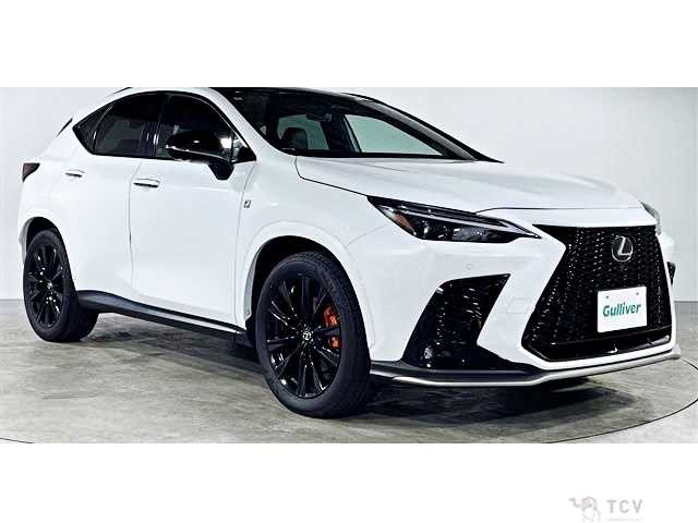 2023 Lexus NX