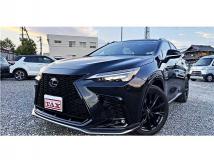 2023 Lexus NX