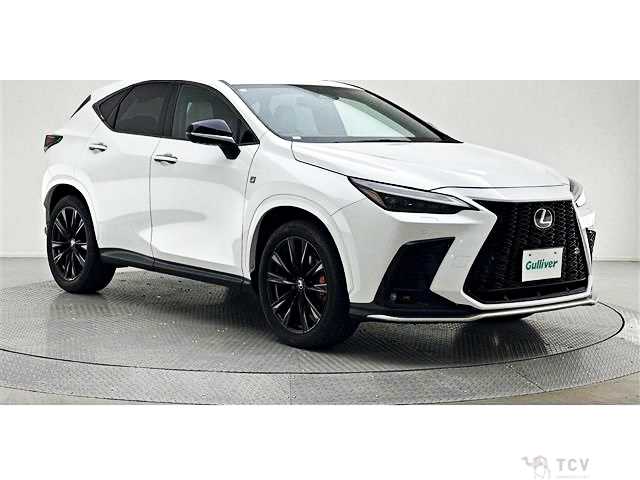 2023 Lexus NX