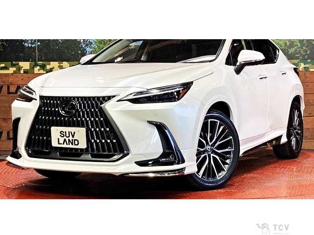 2023 Lexus NX