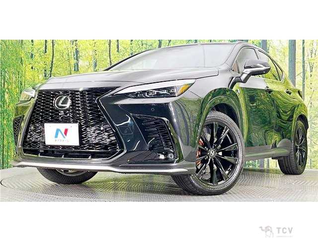2023 Lexus NX