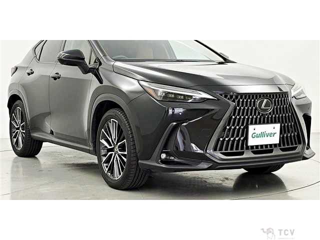 2023 Lexus NX