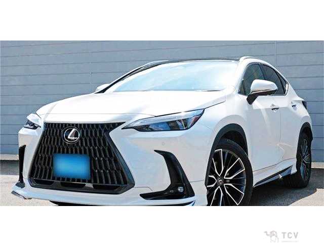2023 Lexus NX
