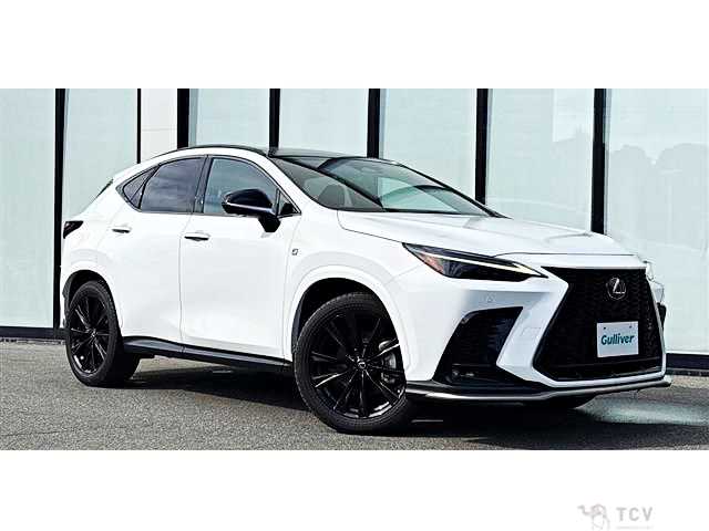 2023 Lexus NX