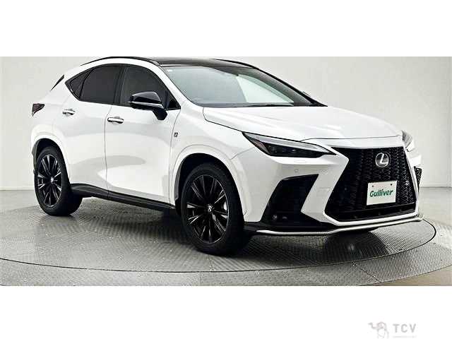 2023 Lexus NX