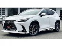 2023 Lexus NX