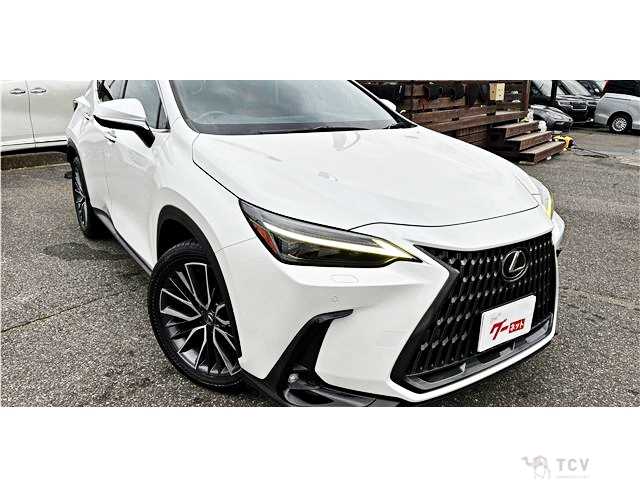 2023 Lexus NX