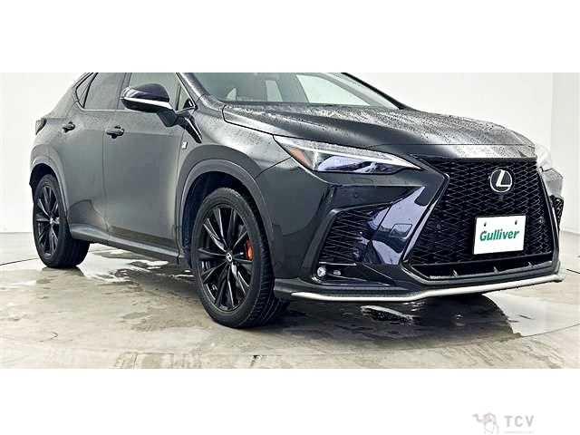 2023 Lexus NX