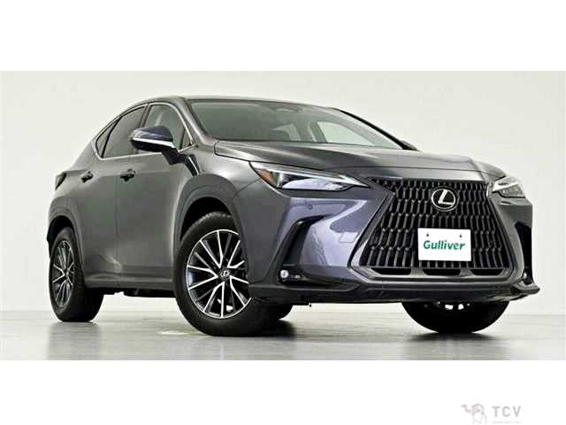 2023 Lexus NX