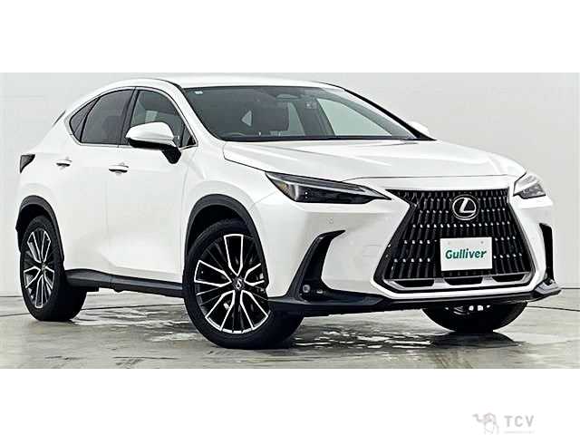 2023 Lexus NX