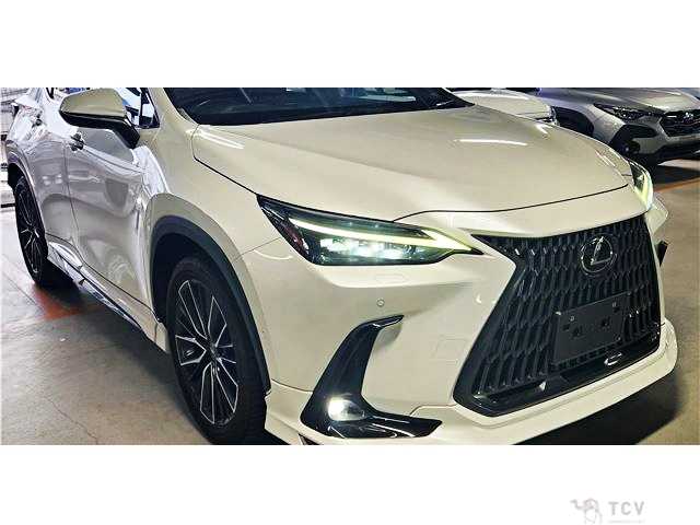 2023 Lexus NX