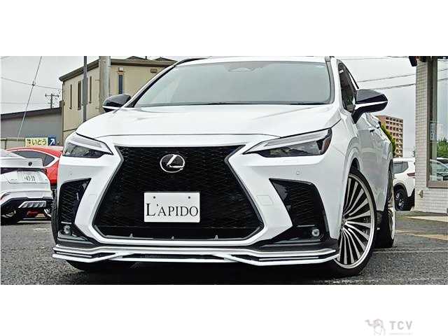 2023 Lexus NX