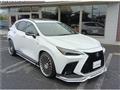 2023 Lexus NX