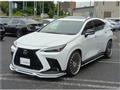 2023 Lexus NX