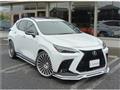 2023 Lexus NX