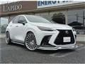 2023 Lexus NX