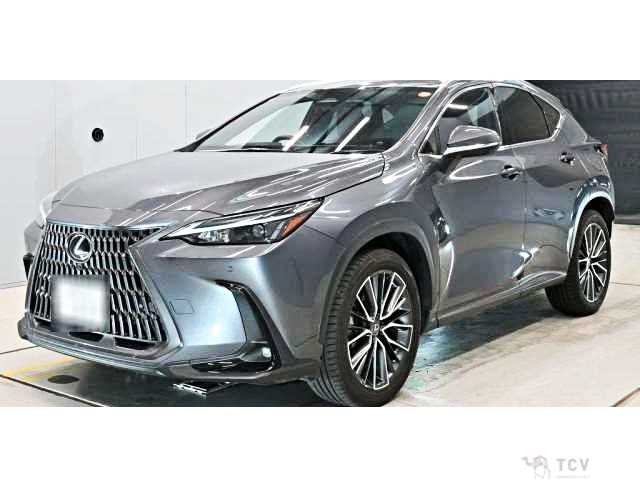 2024 Lexus NX
