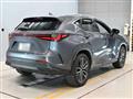 2024 Lexus NX